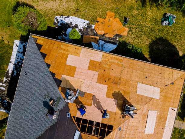 Roof Gutter Cleaning in Hernando, FL